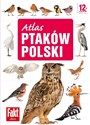 Atlas ptaków Polski   
