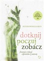 Dotknij poczuj zobacz. Fenomen relacji człowieka z naturą buy polish books in Usa