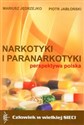 Narkotyki i paranarkotyki - perspektywa polska  