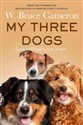 My Three Dogs  polish books in canada