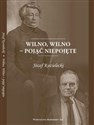 Wilno Wilno pojąć niepojęte  