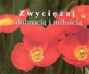 Perełka 193 - Zwyciężaj dobrocią i miłością. in polish