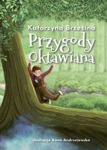 Przygody Oktawiana polish usa