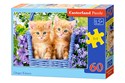 Puzzle 60 Ginger Kittens - 
