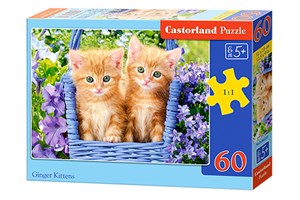 Puzzle 60 Ginger Kittens chicago polish bookstore