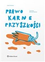 Prawo karne przyszłości 