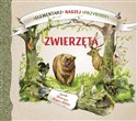 Elementarz naszej przyrody Zwierzęta - Katarzyna Kopiec-Sekieta Bookshop