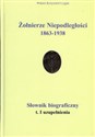 Żołnierze Niepodległości 1863-1938 buy polish books in Usa