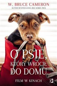 O psie który wrócił do domu Polish Books Canada