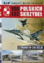 100 lat polskich skrzydeł Tom 24 Leonardo M-346 Bielik - Michał Fiszer, Jerzy Gruszczyński bookstore