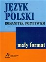 Język polski romantyzm pozytywizm to buy in Canada