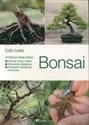 Bonsai Sposób na piękne bonsai chicago polish bookstore