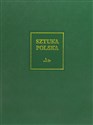 Sztuka polska Tom 6 Sztuka XIX wieku (z uzupełnieniem o sztukę Śląska i Pomorza Zachodniego) - Opracowanie Zbiorowe