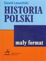 Historia Polski buy polish books in Usa