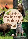 Atlas zwierząt Polski pl online bookstore