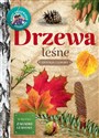 Drzewa leśne Edukacja i zabawa to buy in USA