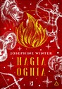 Magia ognia Żywioły buy polish books in Usa