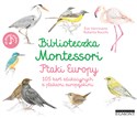 Biblioteczka Montessori Ptaki Europy 105 kart edukacyjnych z ptakami europejskimi books in polish