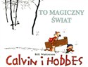 Calvin i Hobbes To magiczny świat t. 9 polish books in canada