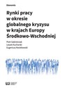 Rynki pracy w okresie globalnego kryzysu w krajach Europy Środkowo-Wschodniej Polish bookstore