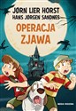 Operacja Zjawa  