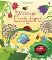 Wind-up Ladybird pl online bookstore