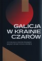 Galicja w krainie czarów Antologia poezji polskiej międzywojennego Lwowa - Katarzyna Sadkowska bookstore