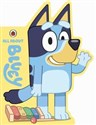 Bluey: All About Bluey  books in polish