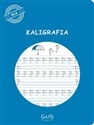 Kaligrafia 16 kartek Ćwiczenia A4 Cwiczenia kształtnego pisania - 