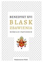 Blask zbawienia Homilie papieskie books in polish