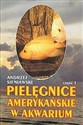 Pielęgnice amerykańskie w akwarium cz.1  