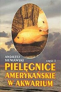 Pielęgnice amerykańskie w akwarium cz.1  