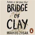 [Audiobook] Bridge of Clay 