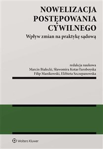 Nowelizacja postępowania cywilnego Wpływ zmian na praktykę sądową buy polish books in Usa