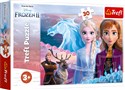 Puzzle 30 Frozen 2 Odwaga sióstr - 