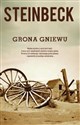 Grona gniewu Polish Books Canada
