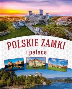 Polskie zamki i pałace buy polish books in Usa