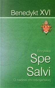 Spe Salvi O nadziei chrześcijańskiej - Polish Bookstore USA