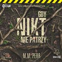 CD MP3 Gdy nikt nie patrzy. Podkomisarz Robert Lew. Tom 2 - M.M. Perr