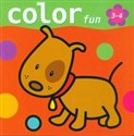Color Fun 3-4 lata online polish bookstore