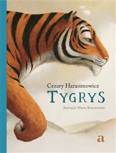 Tygrys in polish