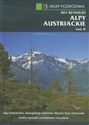Alpy Austriackie Tom 2  