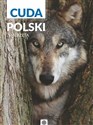 Cuda Polski Zwierzęta bookstore
