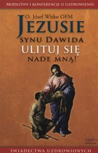 Jezusie synu Dawida ulituj się nade mną! 