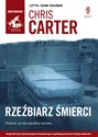 [Audiobook] Rzeźbiarz śmierci in polish