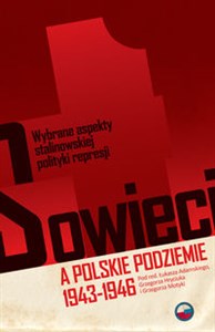 Sowieci a polskie podziemie 1943-1946 polish usa