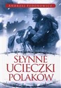 Słynne ucieczki Polaków Polish bookstore