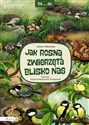 Od...do. Jak rosną zwierzęta blisko nas - Liliana Fabisińska