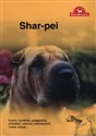 Shar Pei - Over Dieren to buy in USA