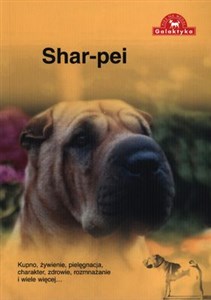 Shar Pei to buy in USA